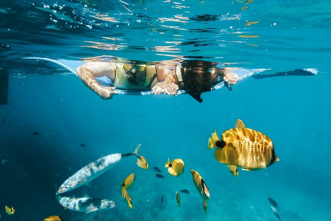 Swim with Dolphins Catamaran with Waterslide & Lunch on Oahu - Entering The Day: Why This Tour Starts So Early