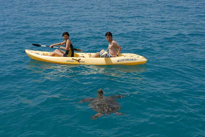 Swim with Dolphins Catamaran with Waterslide & Lunch on Oahu - Where the Boat Goes: Oahu West Coast Views and Time on the Water