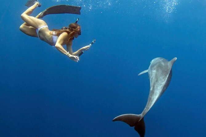 Swim with Dolphins Catamaran with Waterslide & Lunch on Oahu - Stop at Makaha: Snorkeling for Sea Turtles and Reef Fish