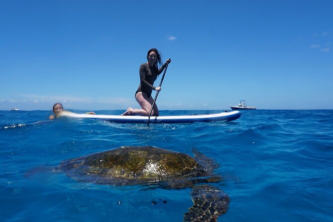 Swim with Dolphins Catamaran with Waterslide & Lunch on Oahu - Bonus Water Time: Paddleboards, Kayaks, Floating Mats, and the 21-ft Waterslide