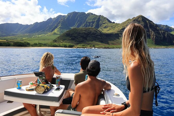 Swim With Dolphins & Turtles in West Oahu (Semi-Private Tours) - Dolphins, Turtles, and the Bonus Wildlife Factor