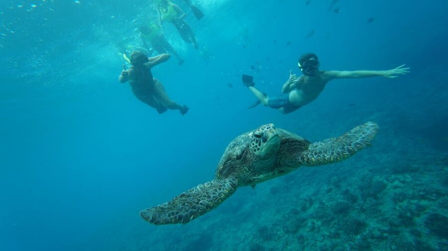 Swim with Wild Dolphins Oahu Speedboat Snorkeling Adventure! - Waianae Morning: Getting on the Dolphin Warrior (and Why It Starts So Early)
