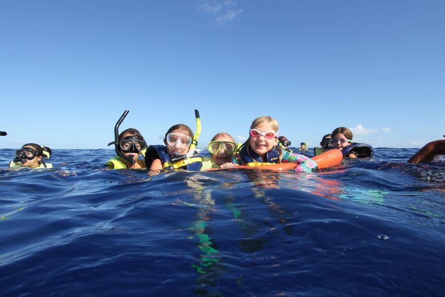 Swim with Wild Dolphins Oahu Speedboat Snorkeling Adventure! - The Boat: What “High-Speed Zodiac” Changes for Your Day