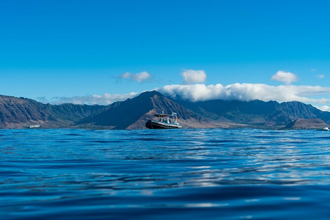 Swimming with Wild Dolphins Speedboat Adventure on Oahu - Speedboat Energy and Small-Group Ocean Time