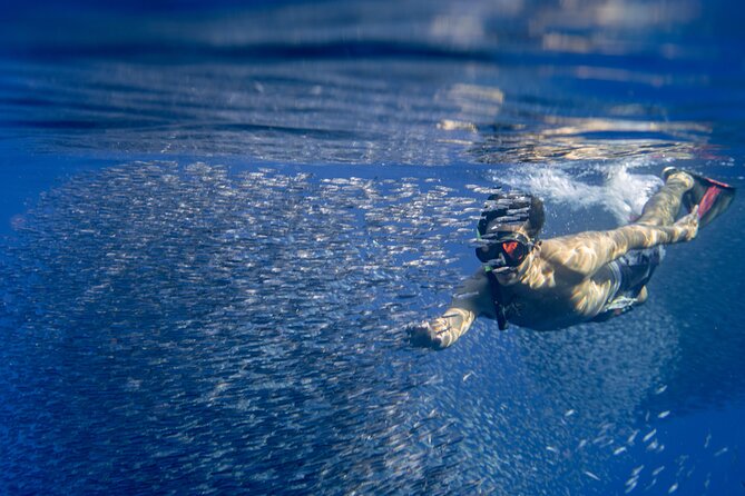 Swimming with Wild Dolphins Speedboat Adventure on Oahu - Stop 1 in Waianae: The Dolphin Warrior Zodiac Experience