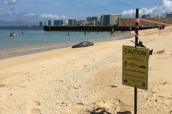 The East Waikiki Walking Tour - Around the zoo: animal stories from residents, not just exhibits