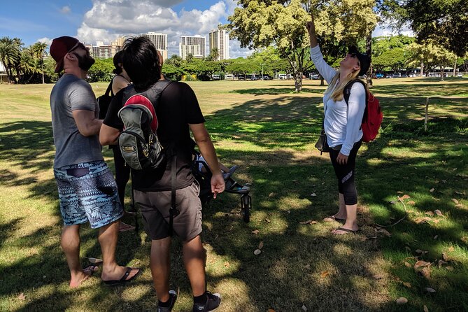 The East Waikiki Walking Tour - The tour’s sustainability angle: better questions for Waikiki