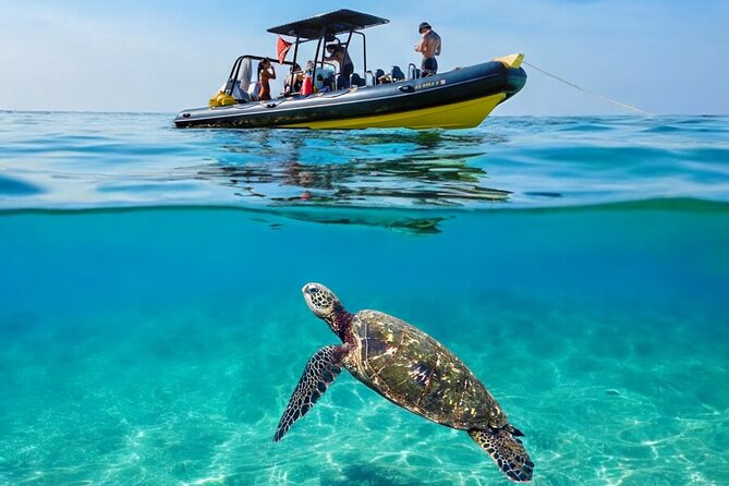 Turtle Canyon Snorkel Adventure - Small Group 6 Passengers - Turtle Canyon off Waikiki: why this spot is worth your time