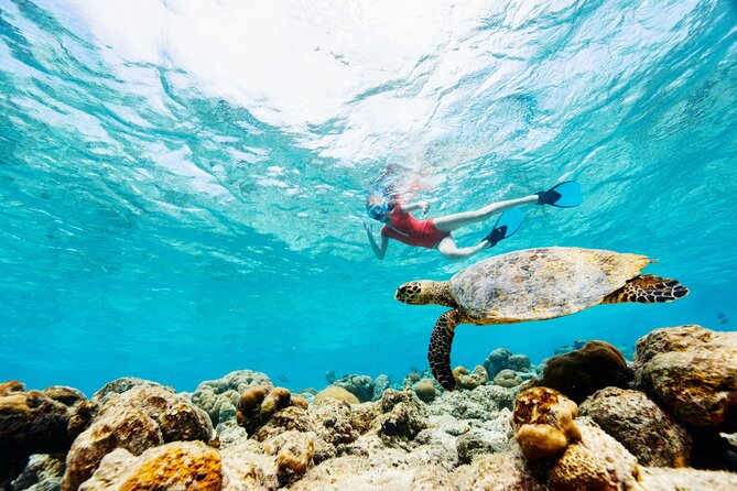 Turtle Canyon Snorkel Adventure - Small Group 6 Passengers - Gear and guidance: what you can expect before you get in