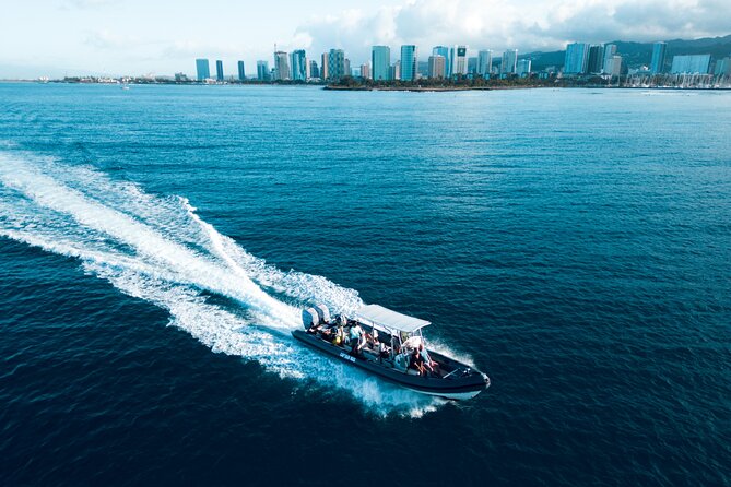 Turtle Canyon Snorkel: Semi Private Boat Tour - Price and Logistics: What $109 Gets You (and What to Watch)