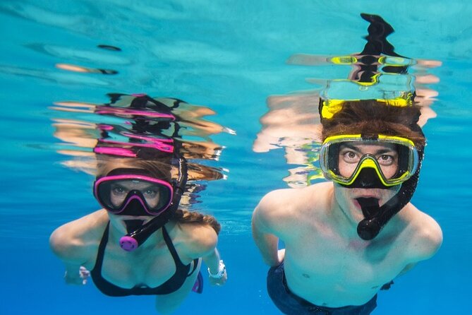 Turtle Canyon Waikiki Snorkel Adventure - Reef Time in Turtle Canyon: Marine Life You Can Actually Plan For