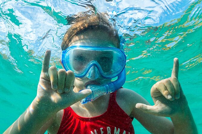 Turtle Canyon Waikiki Snorkel Adventure - Practical Tips to Get More Turtle Time and Less Frustration