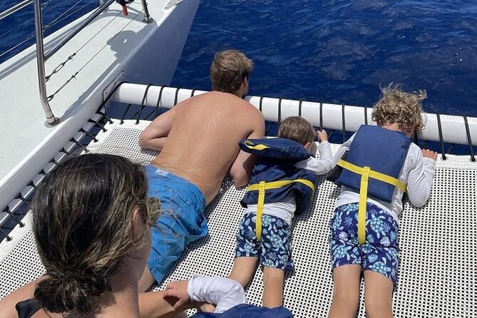 Turtle Snorkeling and Dole Plantation Guided Tour In Oahu - A 9-hour Oahu mix of coffee, pineapples, and turtle snorkel
