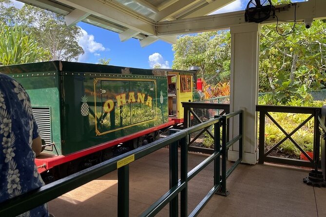 Turtle Snorkeling and Dole Plantation Guided Tour In Oahu - How the guide and group size shape the experience