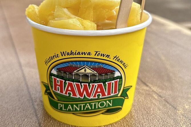 Turtle Snorkeling and Dole Plantation Guided Tour In Oahu - What to realistically expect at each stage of the day