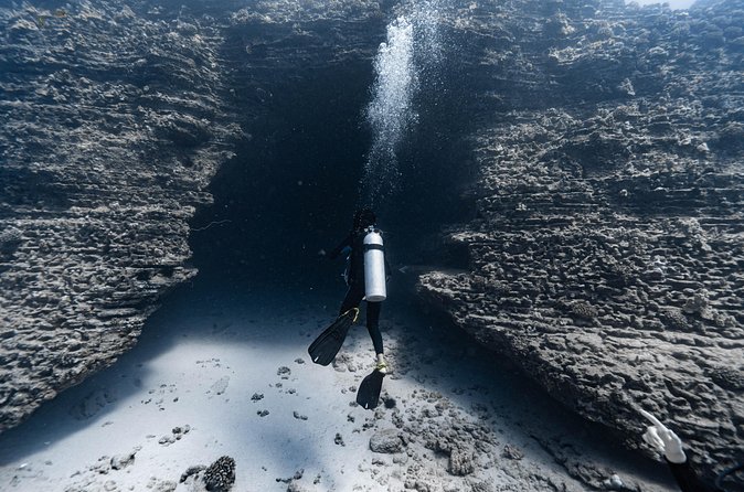 Two Tank Wreck and Drift Dive in Oahu - Price and Value: Is $225 Worth It?