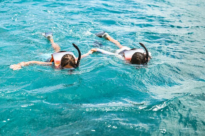 Venture Wildlife Snorkel Charter from Ko Olina - Ko Olina whale watching has a calmer feel