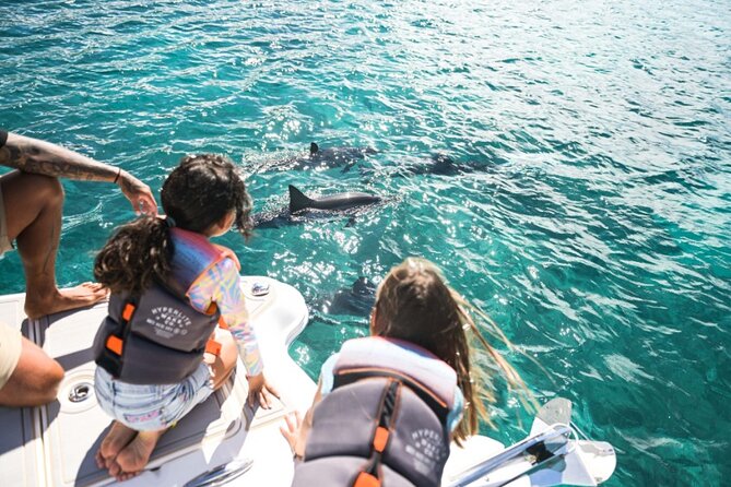 Venture Wildlife Snorkel Charter from Ko Olina - Crew care is the real upgrade: Mark and Marco