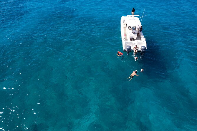 Venture Wildlife Snorkel Charter from Ko Olina - Price and value: $995 per group for a private charter