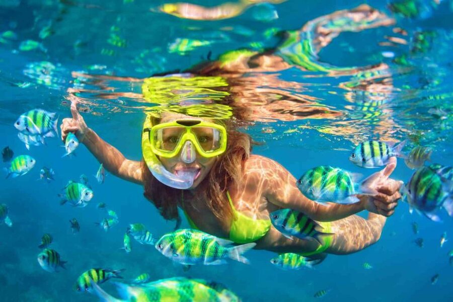 Waikiki: 5-in-1 Turtle Snorkeling Trip with Shuttle Option - Trampoline time and the longest onboard slide: the action most people talk about