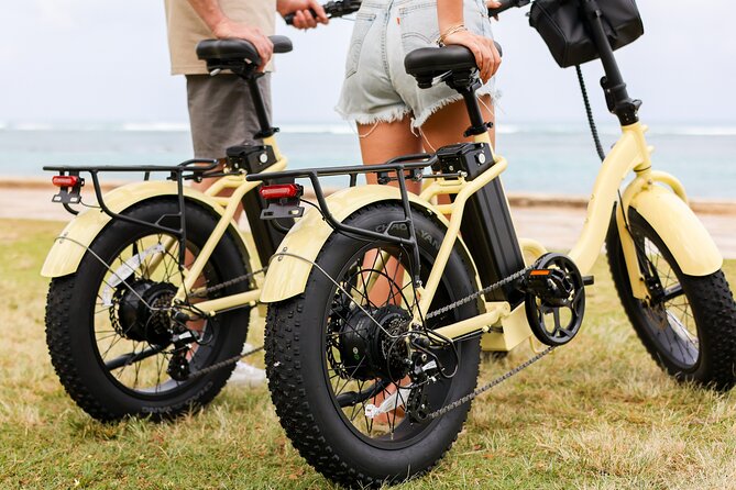 Waikiki and Diamond Head Electric Bike Rental - Service level: “excellent service” and the role of mobile tickets