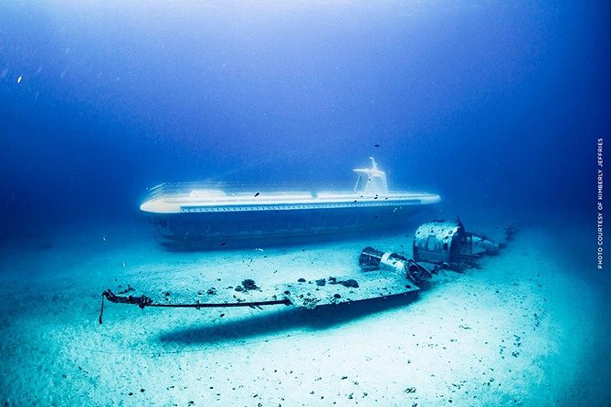 Waikiki: Atlantis Submarine Adventure - Who this tour suits best (and who might rethink it)