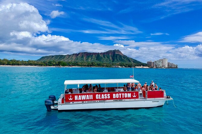 Waikiki Beach Glass Bottom Boat Cruise - Marine Life: What You Can Actually Hope to See