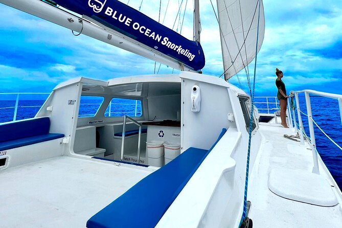 Waikiki Catamaran Escape: Snorkel with Turtles & Water Sports Fun - Waikiki Turtle Snorkel on a 45-Seat Catamaran