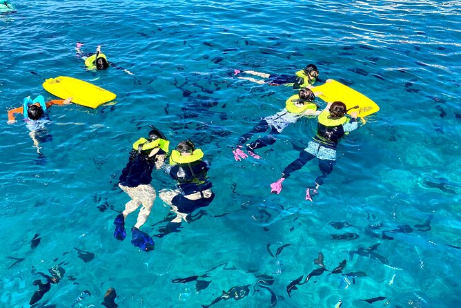 Waikiki Catamaran Escape: Snorkel with Turtles & Water Sports Fun - Wildlife in Season: Dolphins, Whales, and Turtle Canyon Energy