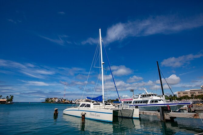 Waikiki Catamaran Snorkel Sail with Lunch: Turtles Guaranteed - Diamond Head views, dolphins, and seasonal whale spotting