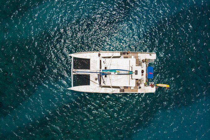 Waikiki Catamaran Snorkel Sail with Lunch: Turtles Guaranteed - Price and value for a $134.95 snorkel with a turtle guarantee