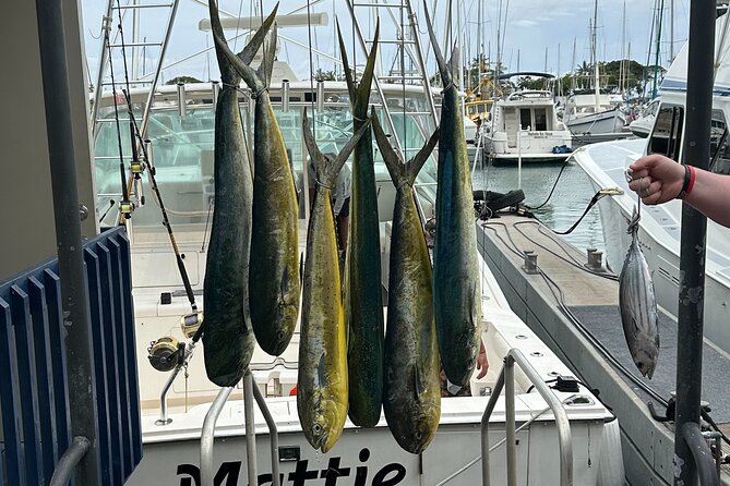 Waikiki Deep Sea Fishing Charter from Oahu - Waikiki deep-sea fishing on a 47 Cabo Express: what the experience feels like