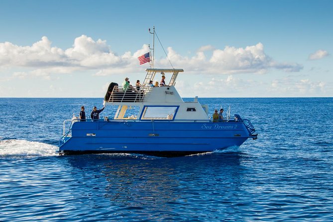 Waikiki Deluxe Catamaran Whale Watch - Comfort on choppy days: where to sit and how to stay happy
