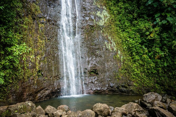 Waikiki Electric Bike Self Guided Tour- Manoa Falls Bike and Hike - Manoa Falls by e-bike: the shortcut that feels like an adventure