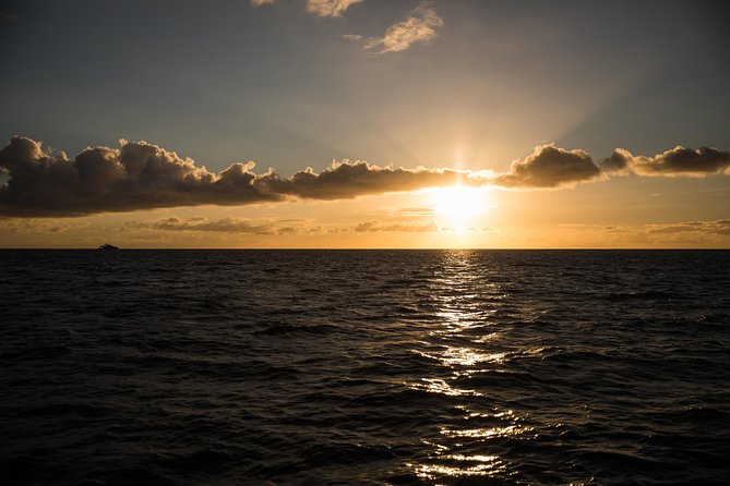 Waikiki Fireworks Dinner Cruise: Sail & Sparkle on Friday Nights - Getting There: Shuttle Pickup vs. Slip F28 at Ala Moana