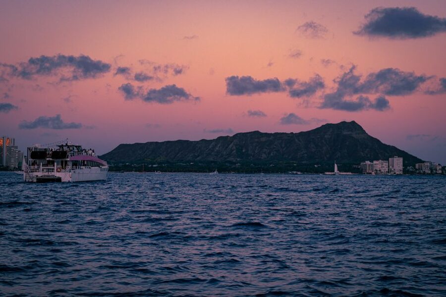 Waikiki Friday Night Fireworks Cruise+Nagaoka Fireworks 3/15 - Wildlife Chances: Whales, Dolphins, and Turtles (But Keep It Real)