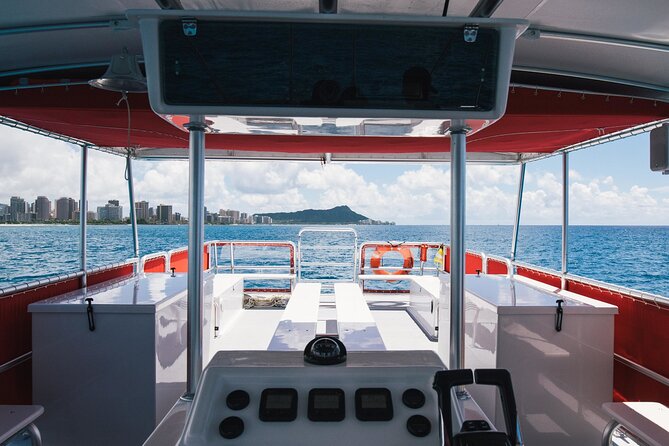 Waikiki Glass Bottom Boat Cruise - Marine life from the glass: what you can actually see