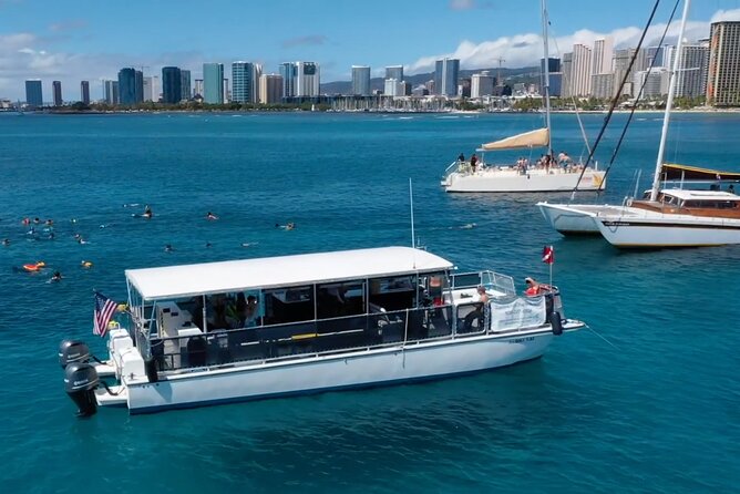 Waikiki Green Sea Turtle Snorkeling Tour - Boat Excursion - Turtle Canyon snorkeling: coaching, sea turtle odds, and how crowded can feel