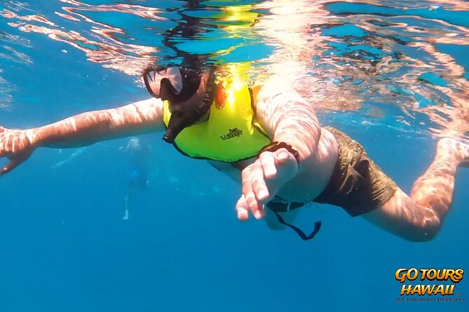 Waikiki Green Sea Turtle Snorkeling Tour - Boat Excursion - Dolphins, whales, and the weather that decides the day