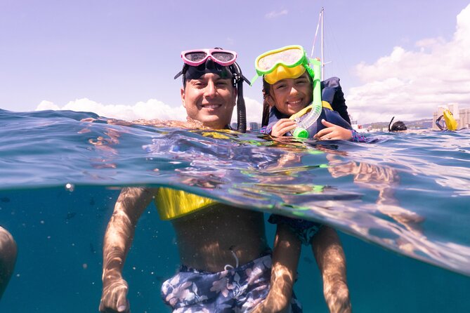 Waikiki Green Sea Turtle Snorkeling Tour - Boat Excursion - Who this tour is best for (and who should look elsewhere)