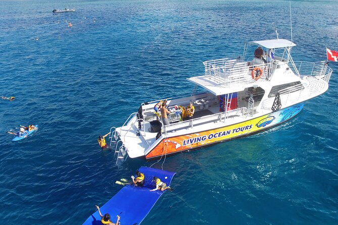 Waikiki, Hawaii: Turtle Canyon Snorkel Excursion - Getting on the boat: Living Ocean Tours and quick prep tips