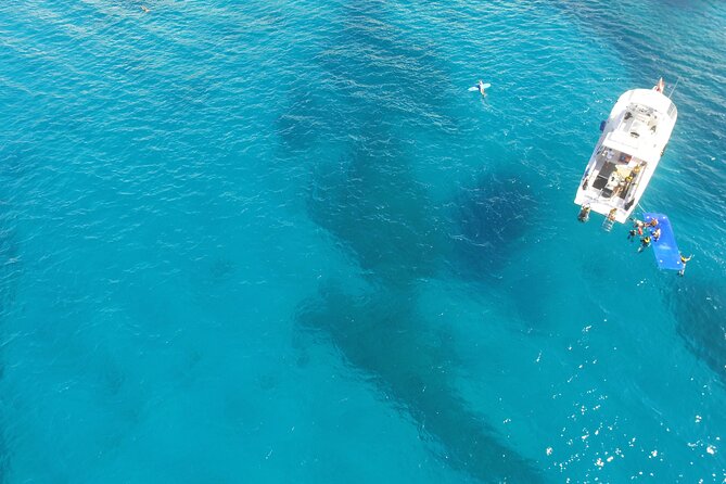 Waikiki, Hawaii: Turtle Canyon Snorkel Excursion - Boat comfort and motion sickness: the stuff people forget to plan for