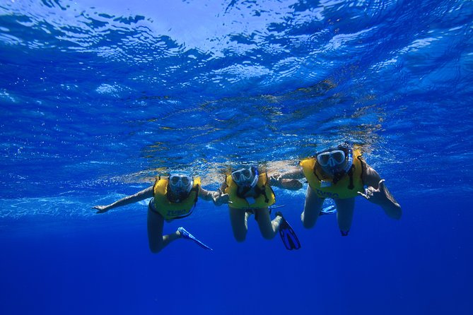 Waikiki, Hawaii: Turtle Canyon Snorkel Excursion - Who should book this Turtle Canyon snorkel and who might want a different option