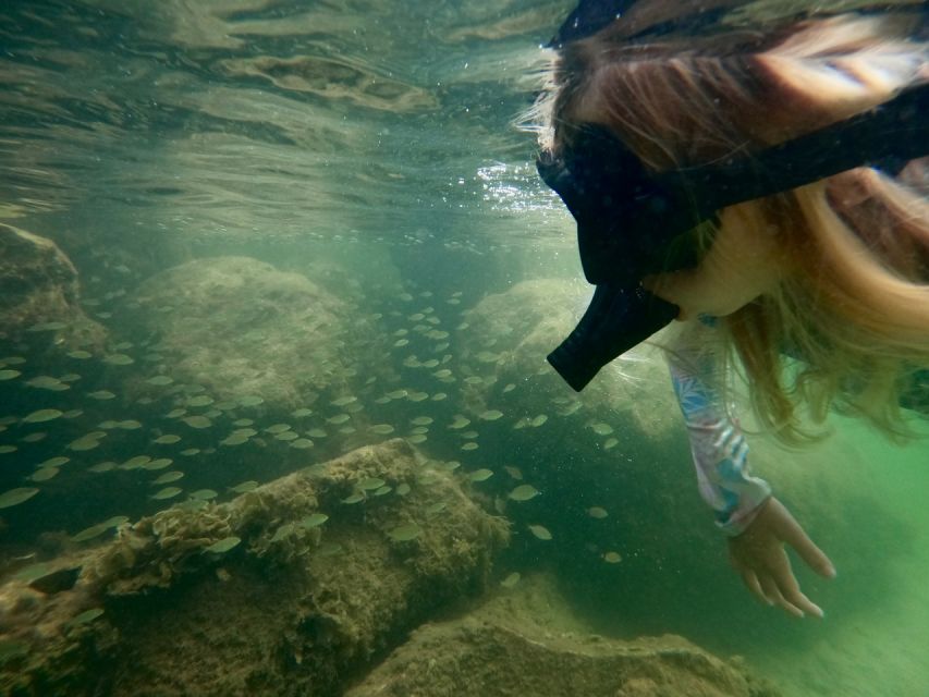 Waikiki: Honolulu Beginner Snorkeling Tour with Videos - Key reasons this one works