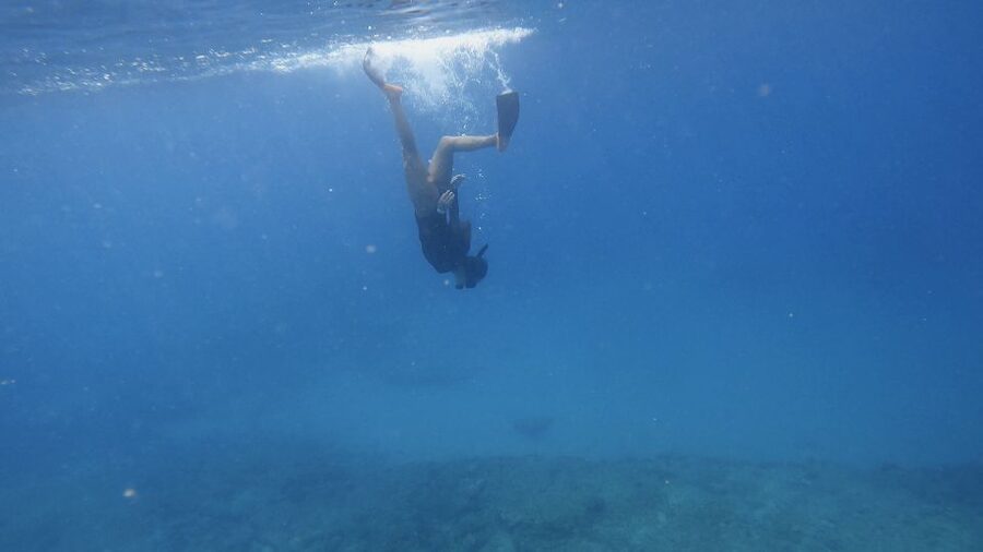 Waikiki: Honolulu Beginner Snorkeling Tour with Videos - Snorkeling Basics You’ll Actually Use