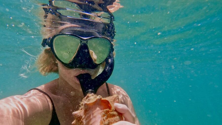Waikiki: Honolulu Beginner Snorkeling Tour with Videos - What to Bring: Small prep, big comfort