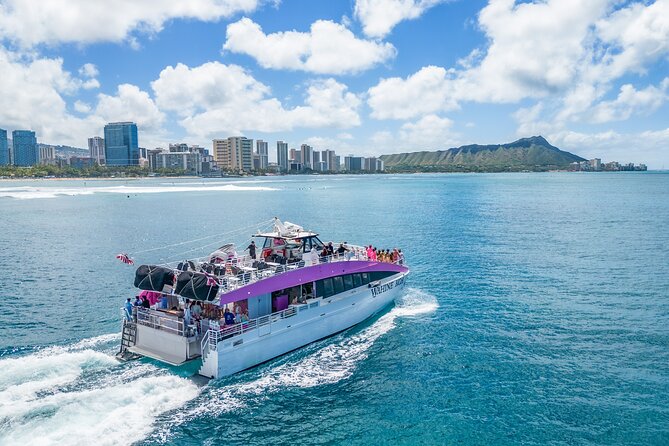 Waikiki, Oahu 2-Hour Whale Watching: Guaranteed Sightings - Getting On Board: Pink Sails Waikiki and a Smooth Check-In Mindset