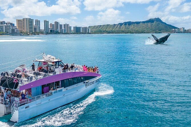 Waikiki, Oahu 2-Hour Whale Watching: Guaranteed Sightings - Price and Value: Why $45.31 Can Make Sense (Even with a Risk of Misses)