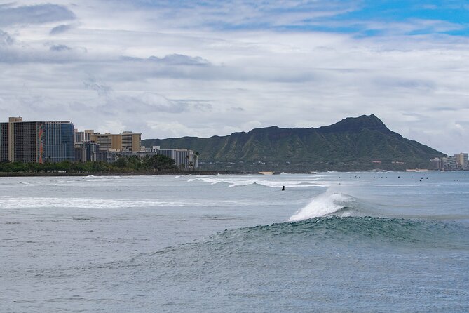 Waikiki Panorama Sail: Search for Hawaiian Sea Turtles - Wildlife-Spotting Tips That Actually Help