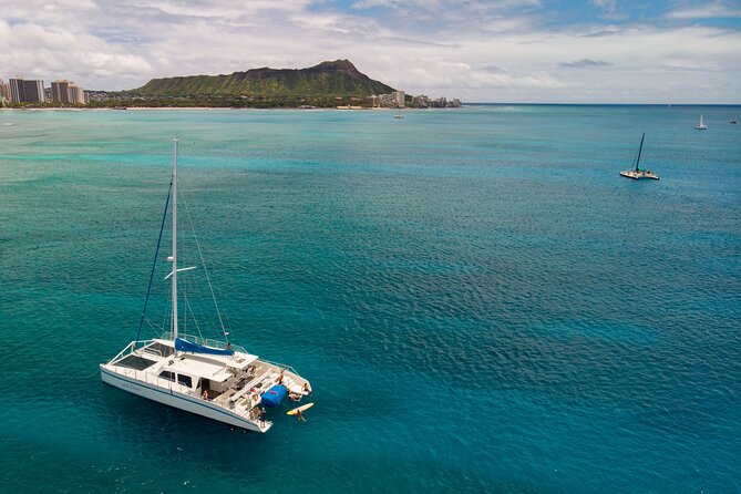 Waikiki Panorama Sail: Search for Hawaiian Sea Turtles - Who This Sail Best Fits (and Who Might Skip It)
